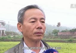 包含大连金星反败为胜，险胜四川磐石的词条