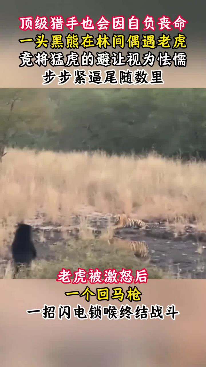 安博体育入口-云南飞虎对决吉林东北虎，双方实力如何抉择胜负？的简单介绍